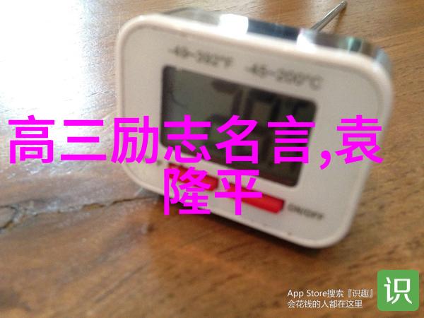 职场励志从失败到成功的不懈追求