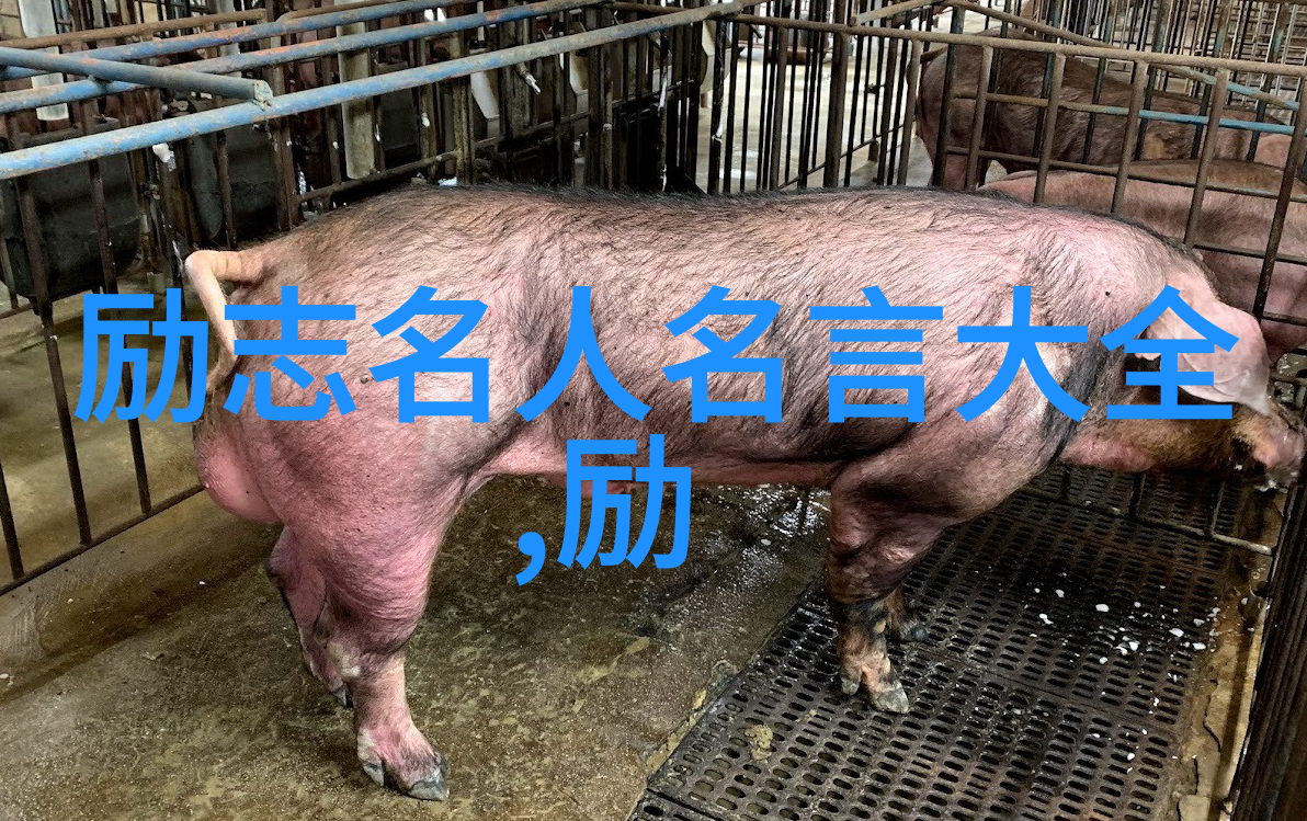 张爱玲的经典语录透视文学与生活的哲思