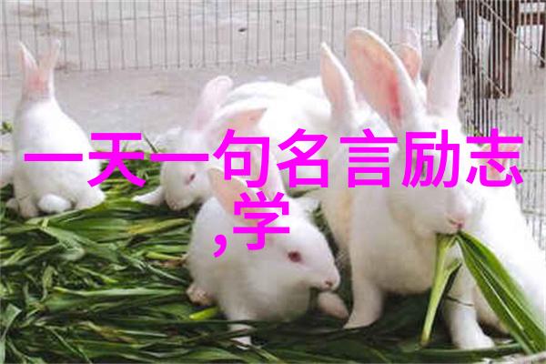 在社会的纷扰中爱一个人有何表现