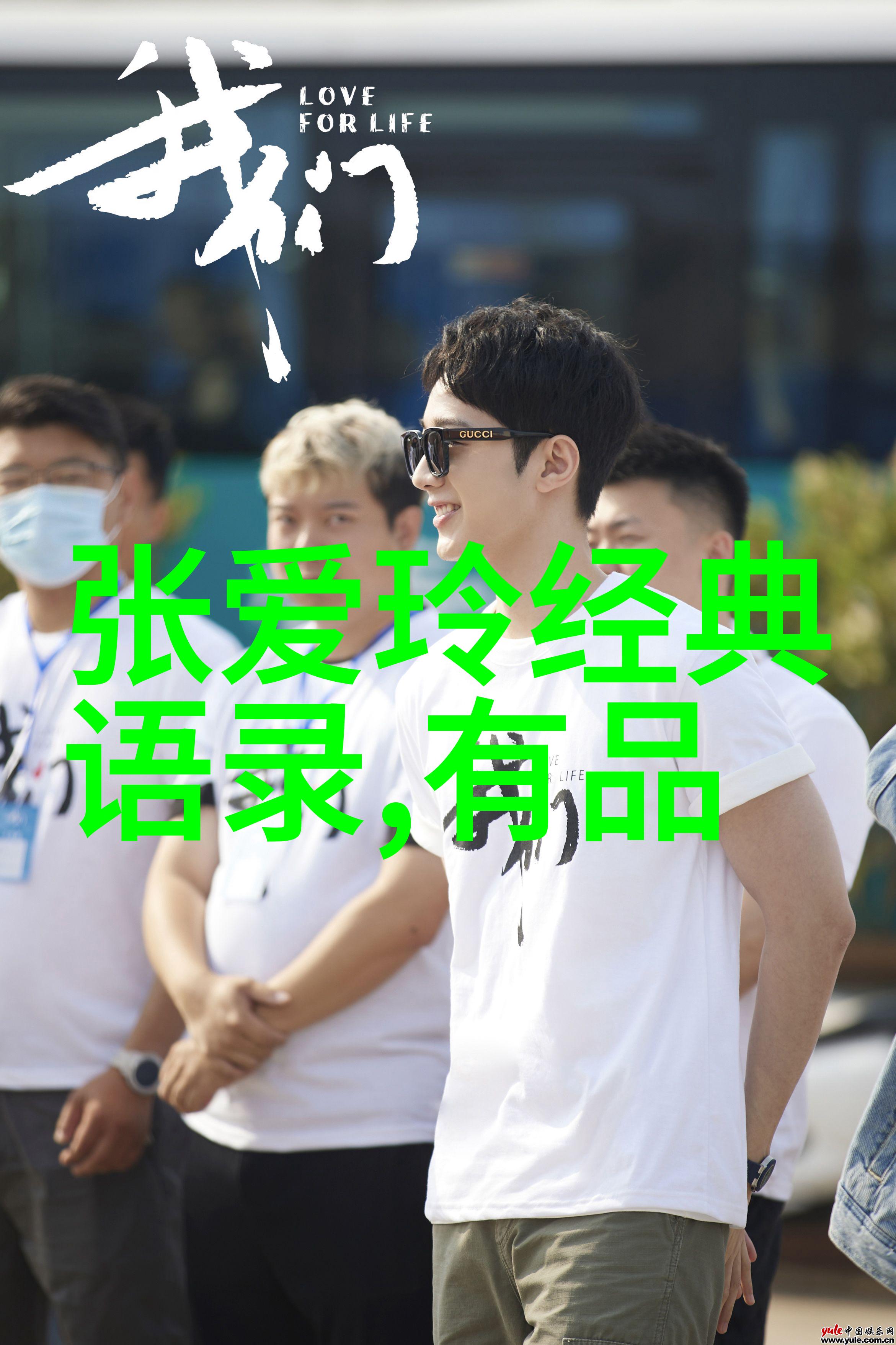 从孤独的巅峰到深渊的幽灵一位伟大人物的沉默之旅