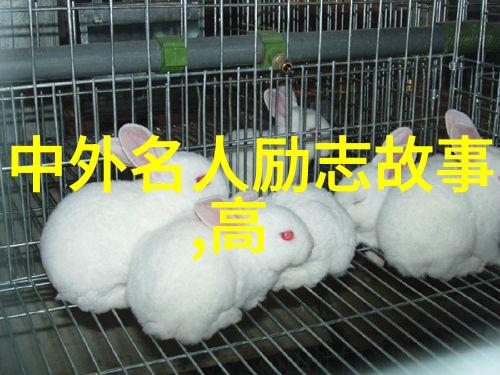 逆袭先锋90后感动中国人物事迹的传奇篇章