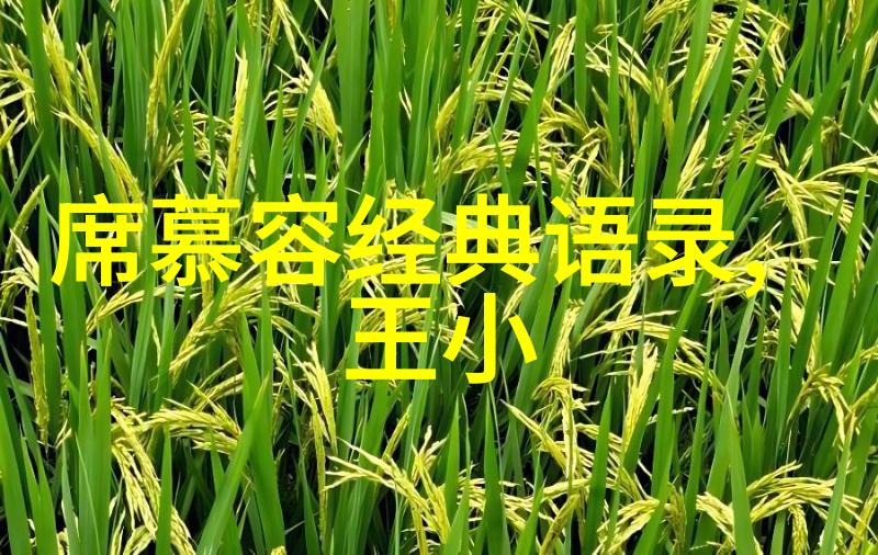 老婆的钱袋为什么不为你花不离婚报复老公的最巧妙方式