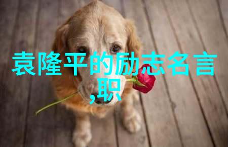爱情三原色失去的回音永恒的归属