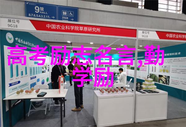 沃伦巴菲特投资神话