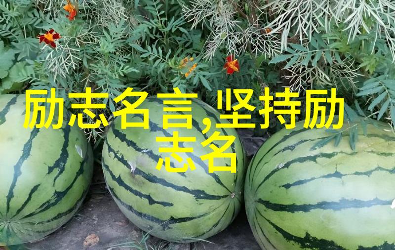 宫崎骏经典语录-梦想的画家探索宫崎骏导演的创作智慧