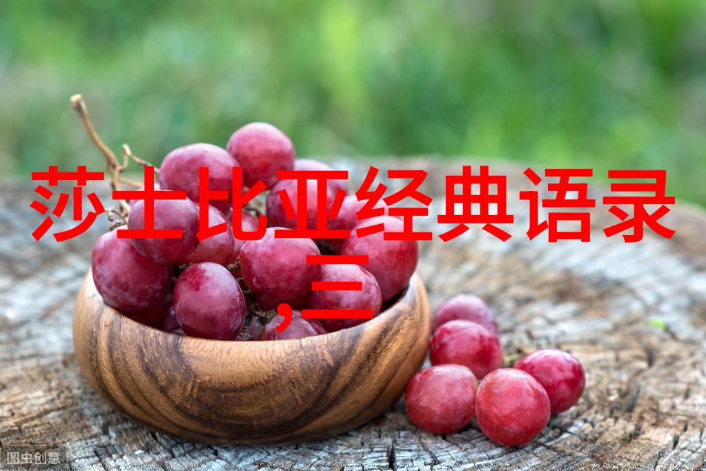 婆媳关系数据分析赵子泉最终选择与谁共度晚年