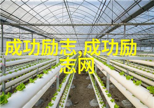 李明的逆袭之旅从穷小子到成功企业家