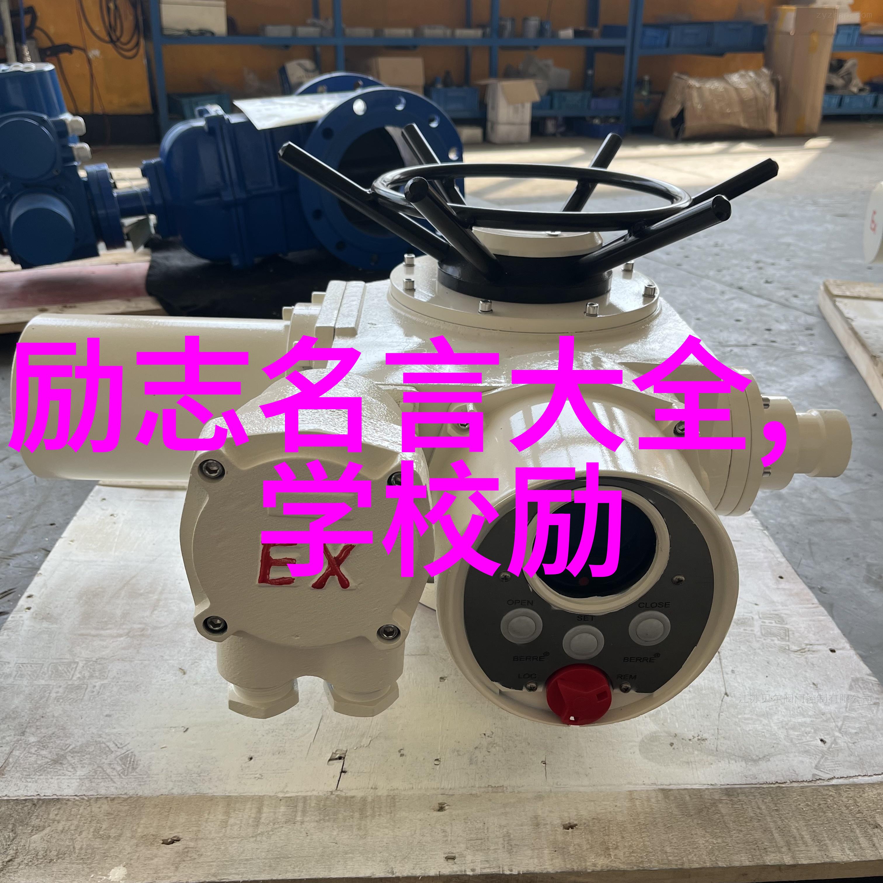 爱情深处唯美句子不舍得留下你一个人的故事