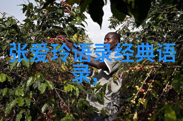 跨界时空的幽默与沉思摆渡人经典语录