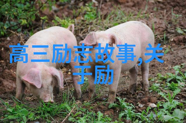电影出轨后老婆该如何拯救这段婚姻