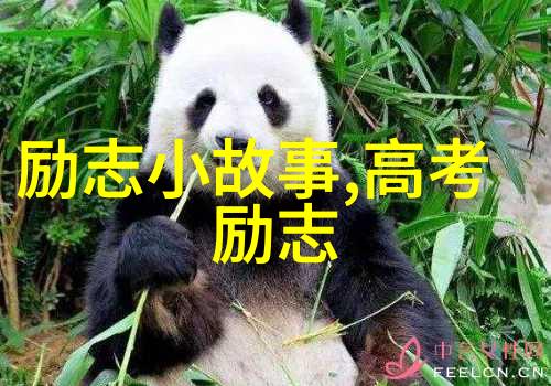 甄嬛传经典语录 - 宫廷风云中的智慧抉择