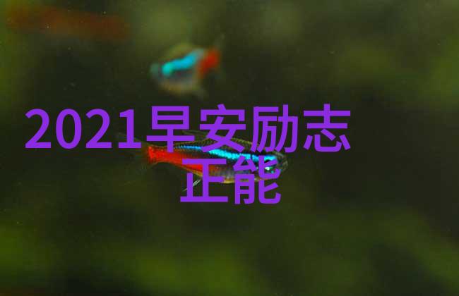 真人版美女与野兽的爱情真情口述爱情没有先来后到