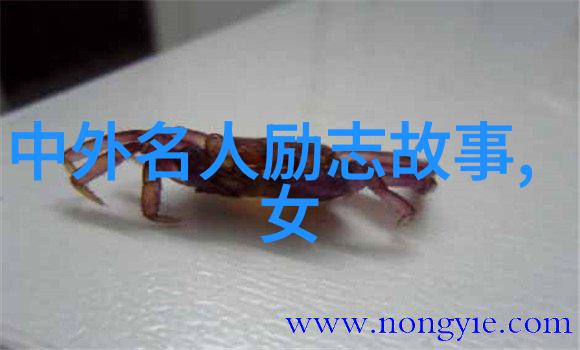 感恩经典语录精选心灵启迪