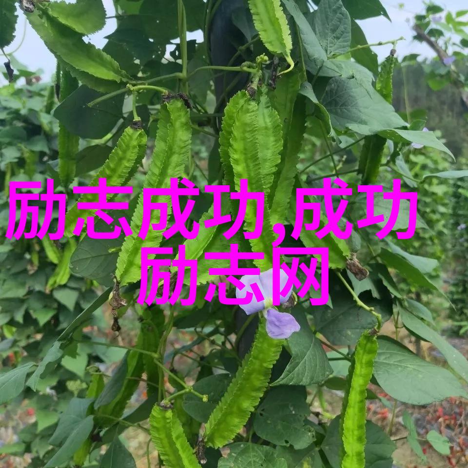 探索边界解读非主流经典语录中的学术深度