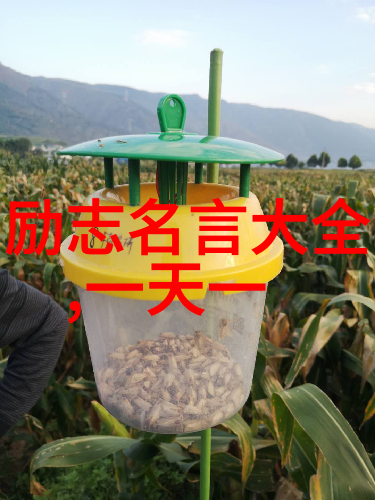 战胜挫折的名言
