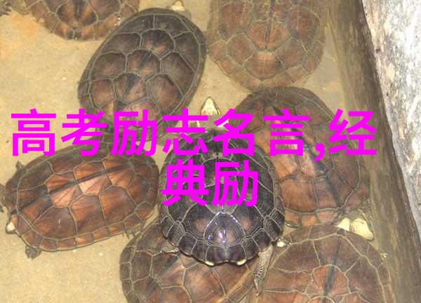 2022中国十大新青年人物-奋斗新篇章2022年最耀眼的青春力量