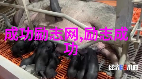 艺术大师与普通学生跨越界限的友谊故事