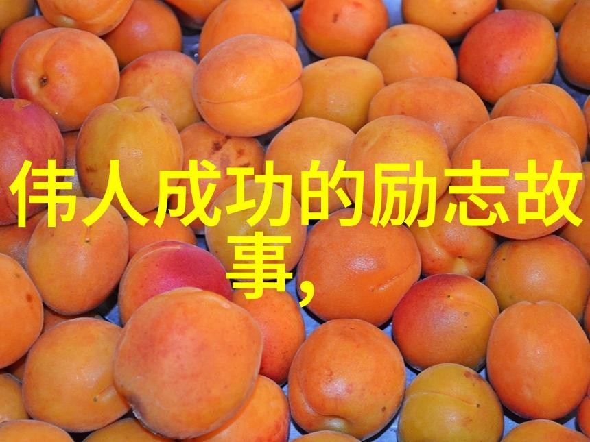 跨越时空的读书之旅一名外国作家的中国古籍探秘