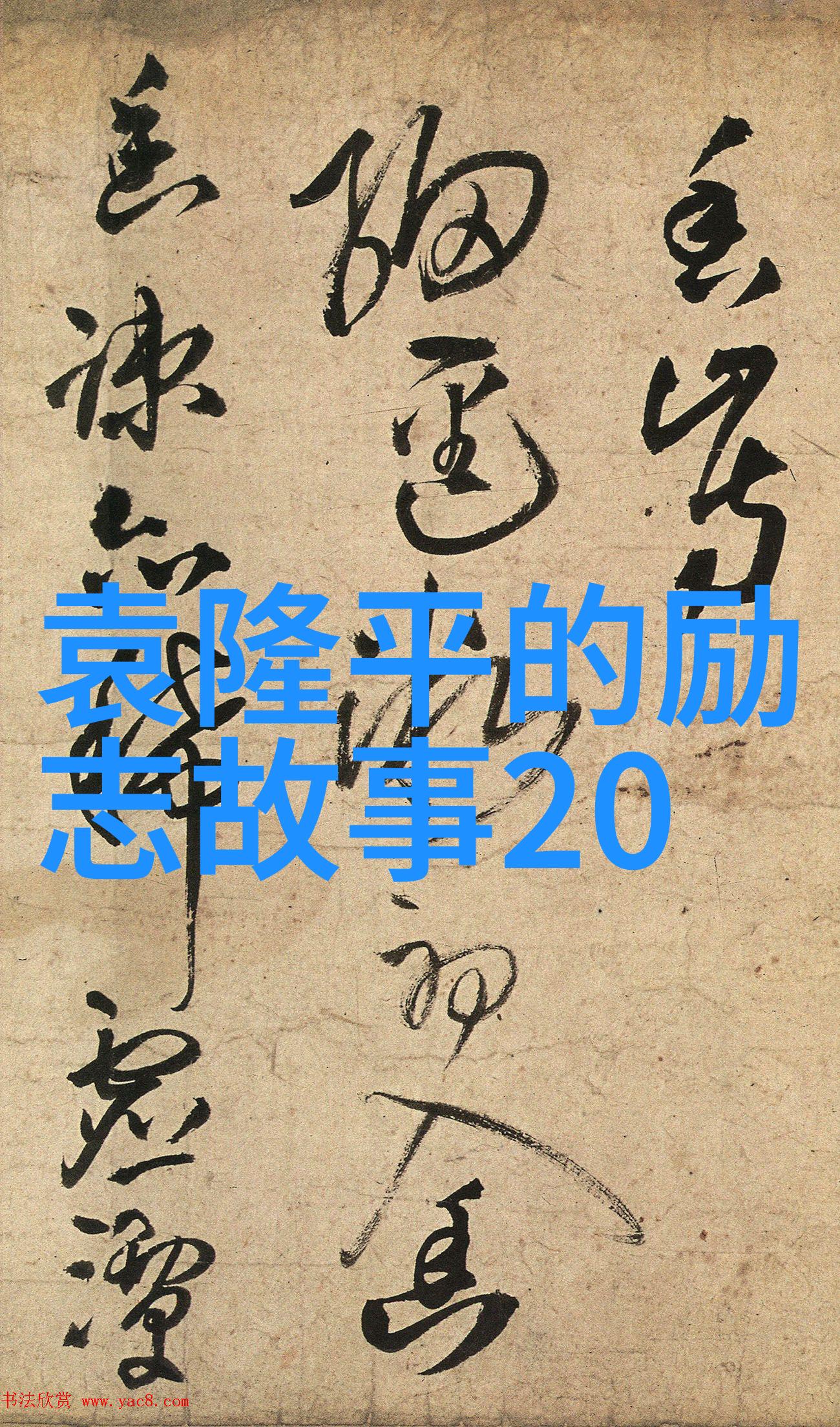 偶像力量追逐梦想的名人之旅