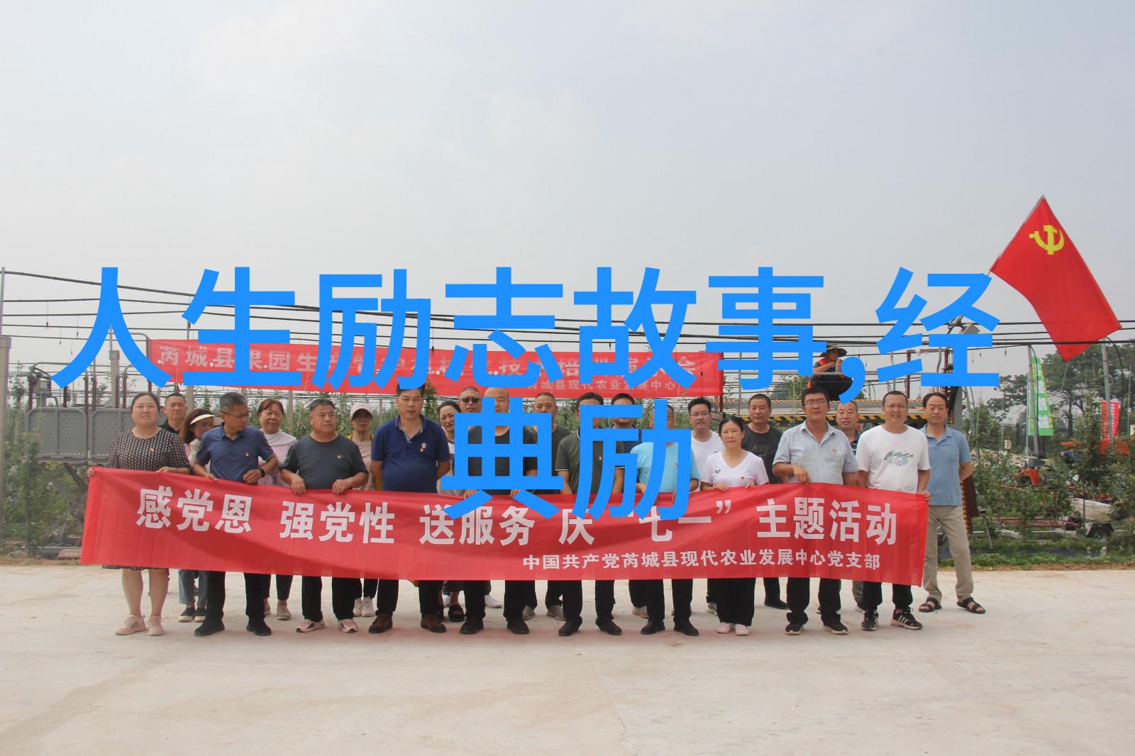 甜蜜租赁爱的浪漫编织