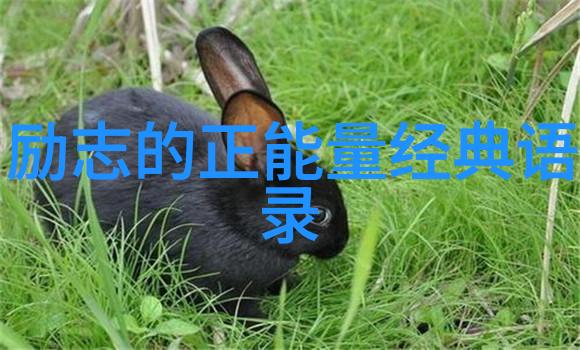 婆媳的战国时代电视剧中婆媳矛盾解决之道