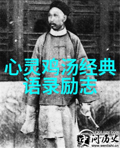 偶像的辉煌事迹歌唱之星的光芒