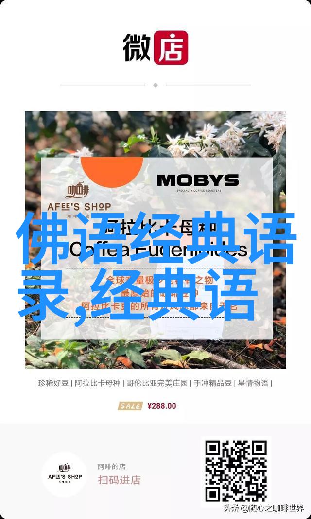 青春风华李连杰的逆袭之旅