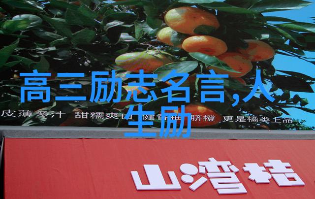 婆媳的战国时代揭秘相处之道