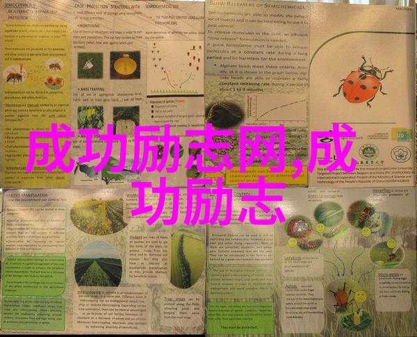 自我管理的8个好习惯