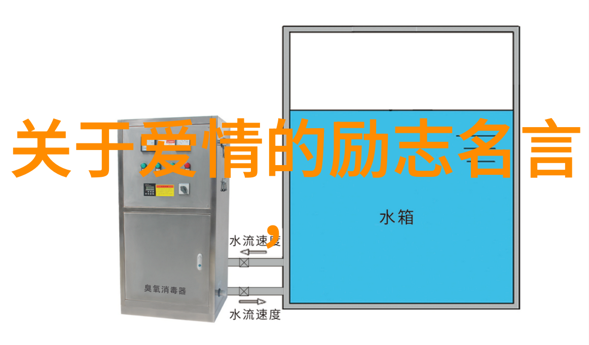 中国心世界光一个守护孩子梦想的教师故事