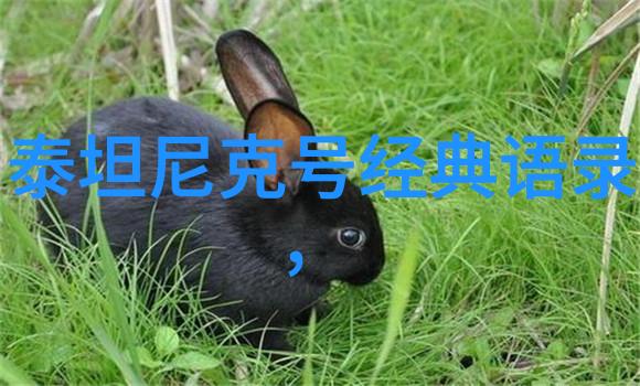 励志人物图片素材我想成为他那些激励人心的照片故事