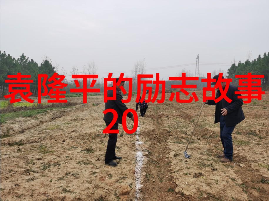 风中的画卷探索三毛经典语录背后的生活哲学