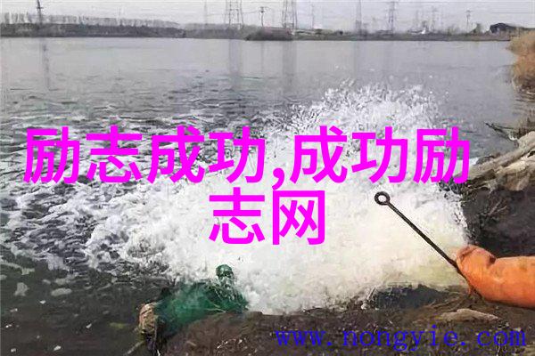 如何将贺炜的经典语录融入日常生活中以增强积极性