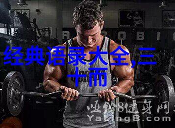 小诗的公交车日记1号线到17站的城市心事