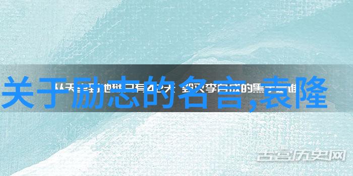 山茶花开go9go友情链接平台绽放的美好交往