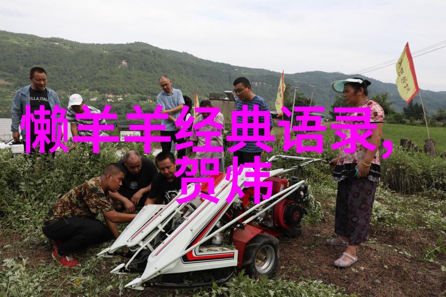 中国成功女性100名李笑来从农村女孩到科技创业者