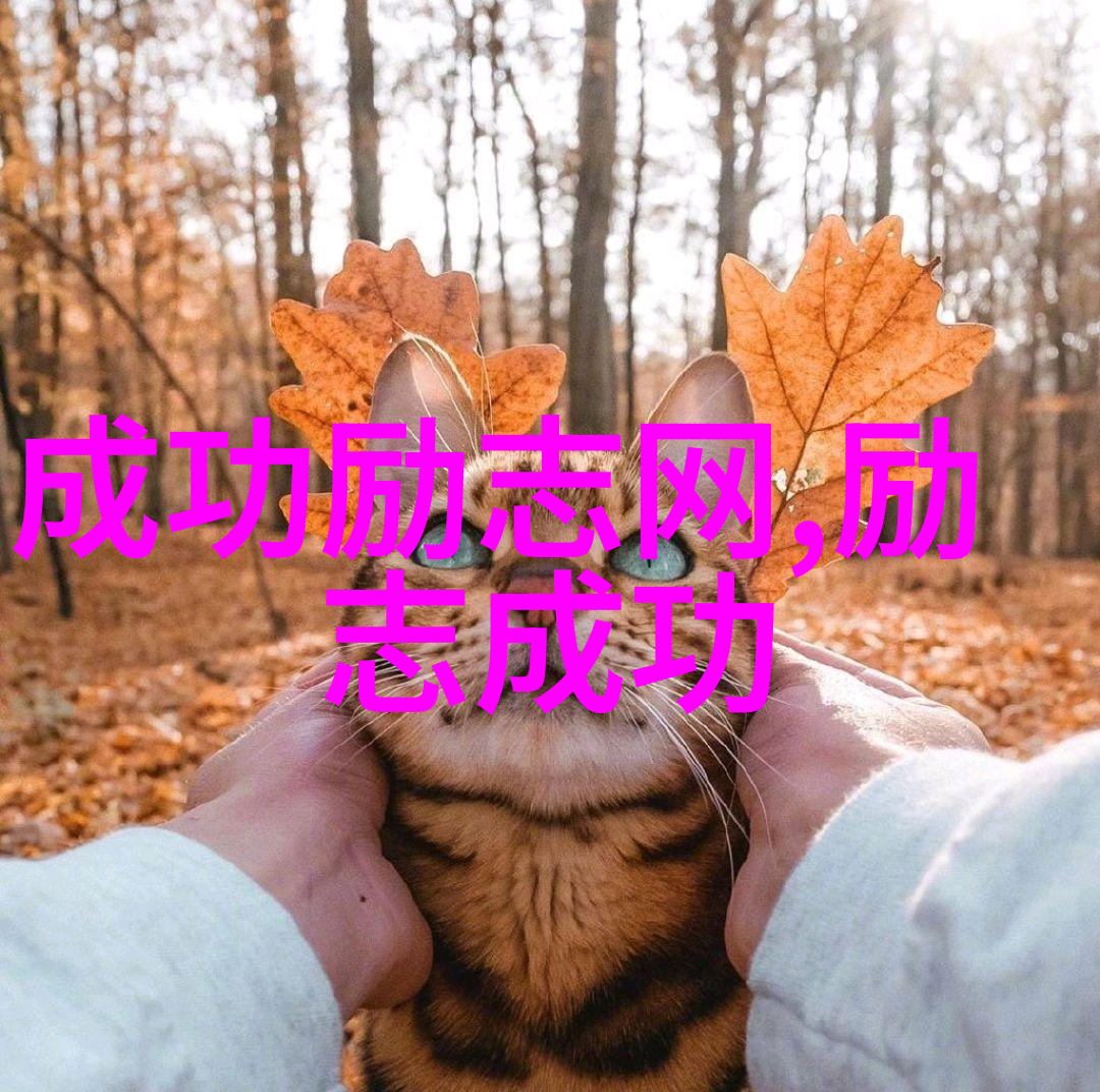 个人成长人物事迹我是怎么从一个不自信的小孩变成了现在这个有自信的人