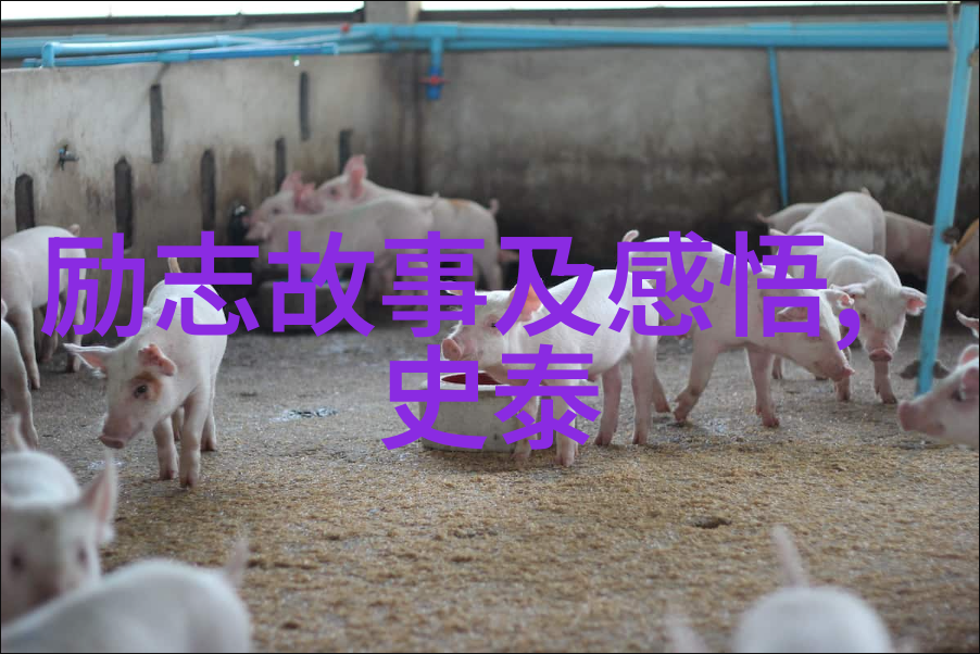 聊天尬聊怎么找话题我是怎么学会不怕尴尬的聊天法则