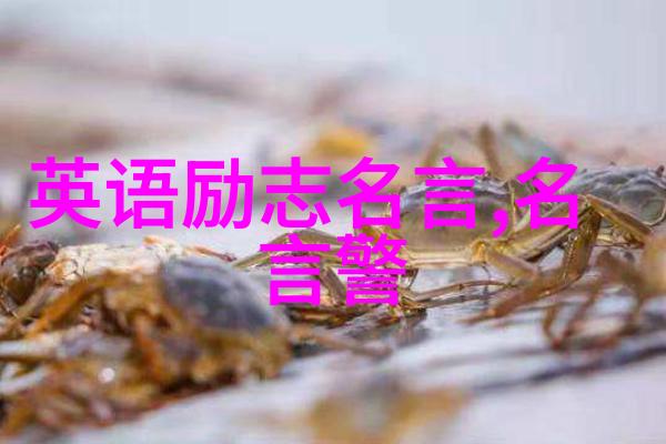 非主流经典语录童言无忌的智慧闪光点