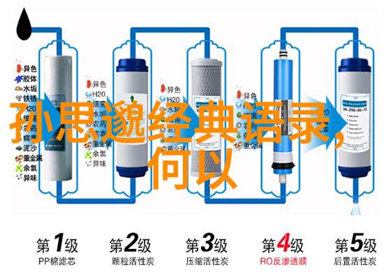 逆袭之星高考的坚守与辉煌
