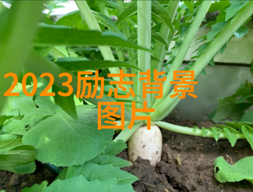 碧波荡漾唐代少年的航海奇遇