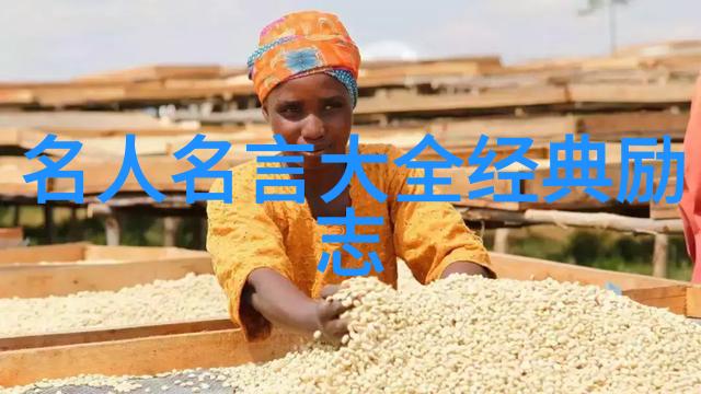 中国移动5G套餐中国移动通信公司提供的高速数据网络服务