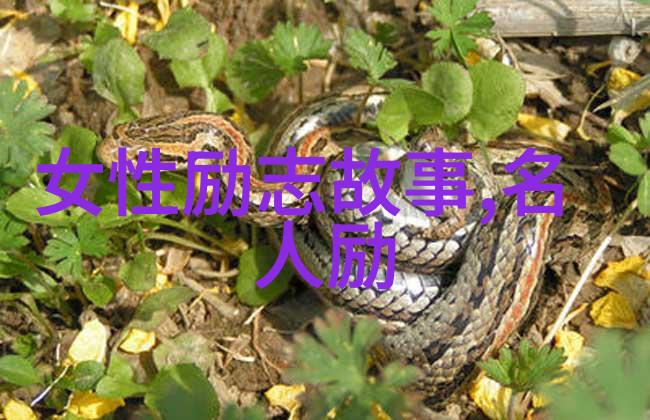 激励人心的力量如何通过视频短片引领团队向成功迈进