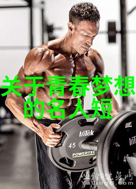从废墟中崛起的明灯一个逆袭的励志故事