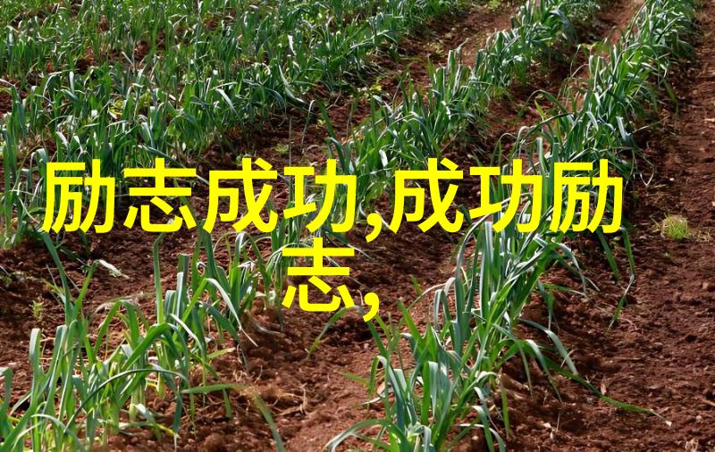 军人生涯中的转折点陈七的心灵之旅
