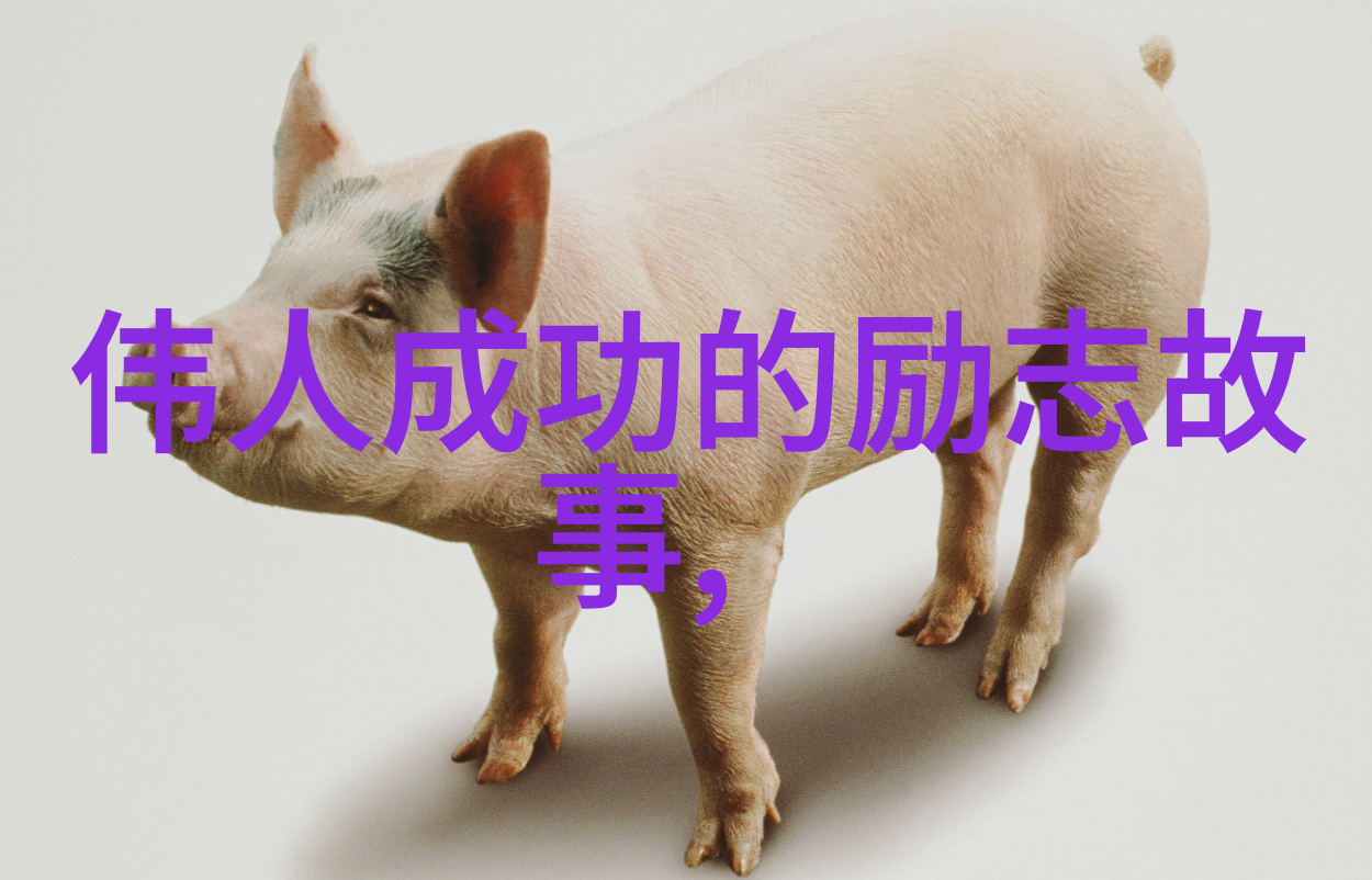 单方面离婚的法律途径与注意事项