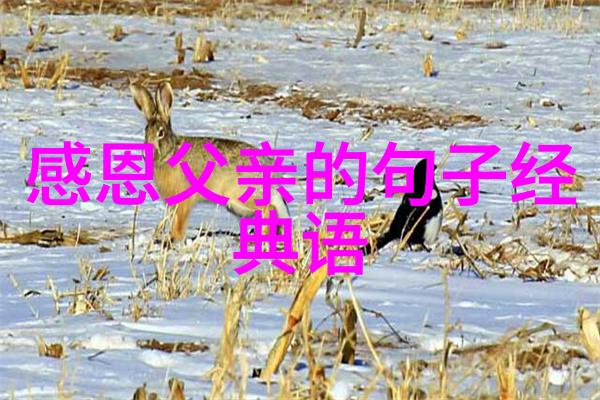 男生为什么不用摩斯密码表白给乖乖女在社会