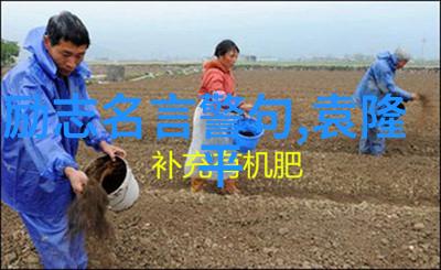 婆媳关系的智慧之战教你如何巧妙应对甚至不跟公婆住也能安心
