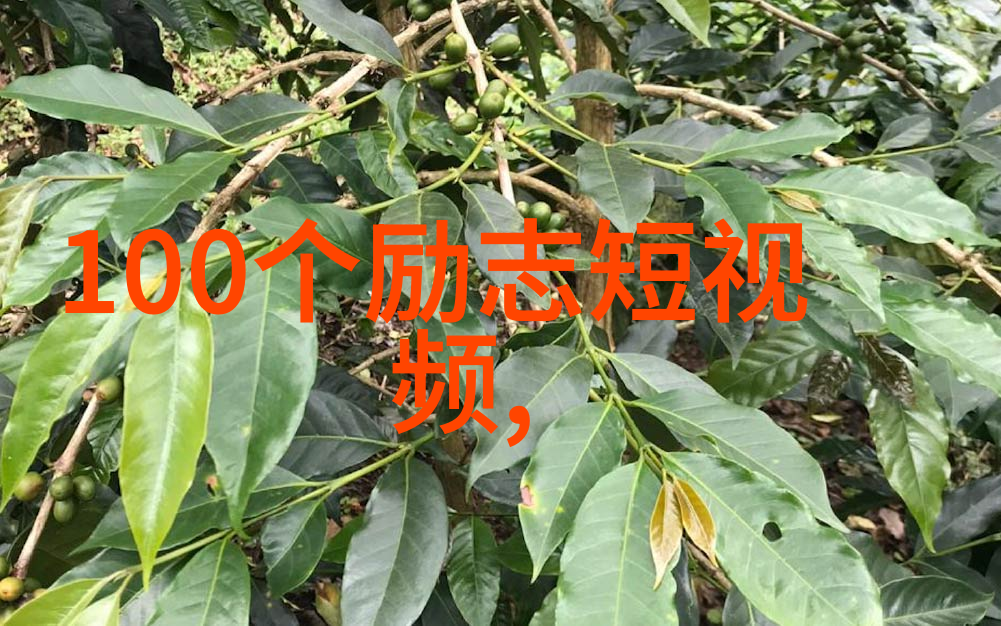 他们在追星过程中遇到的困难又是什么样子的又是怎么克服这些困难的呢