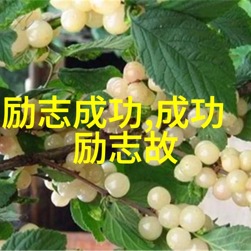 高三励志故事-逆袭的光芒从低谷到顶峰的奋斗史